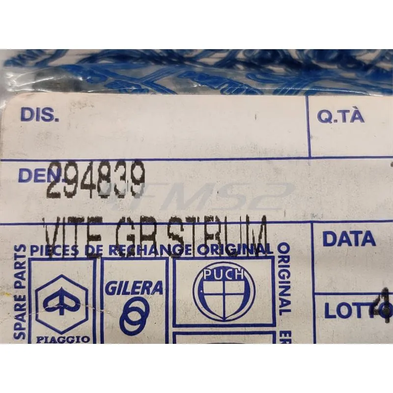 294839 Vite cilindro esagonale incassato (Piaggio Gilera)