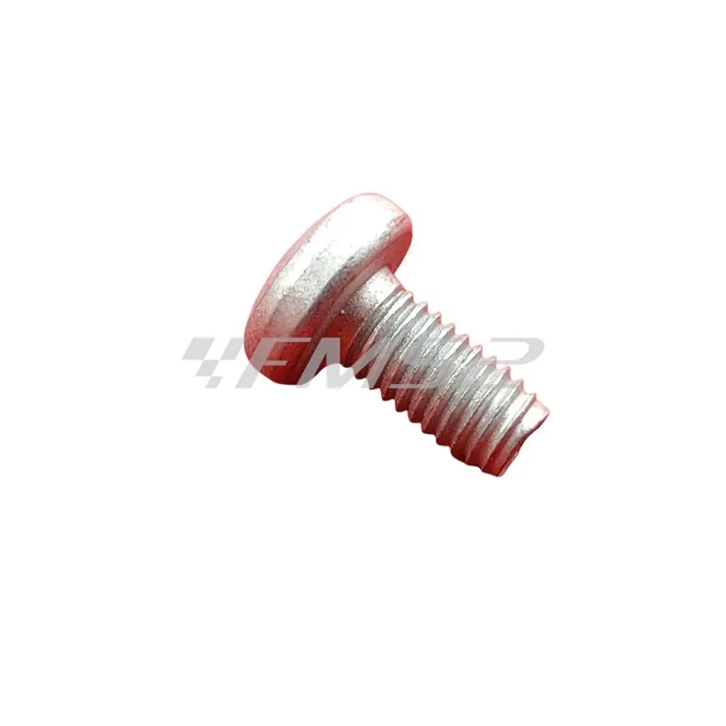 430264 Vite tbc m5x10, piaggio
