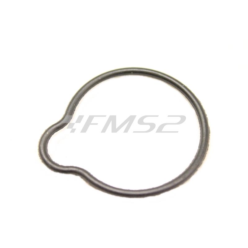 Anello di tenuta filtro olio (Piaggio Gilera), ricambio 482186