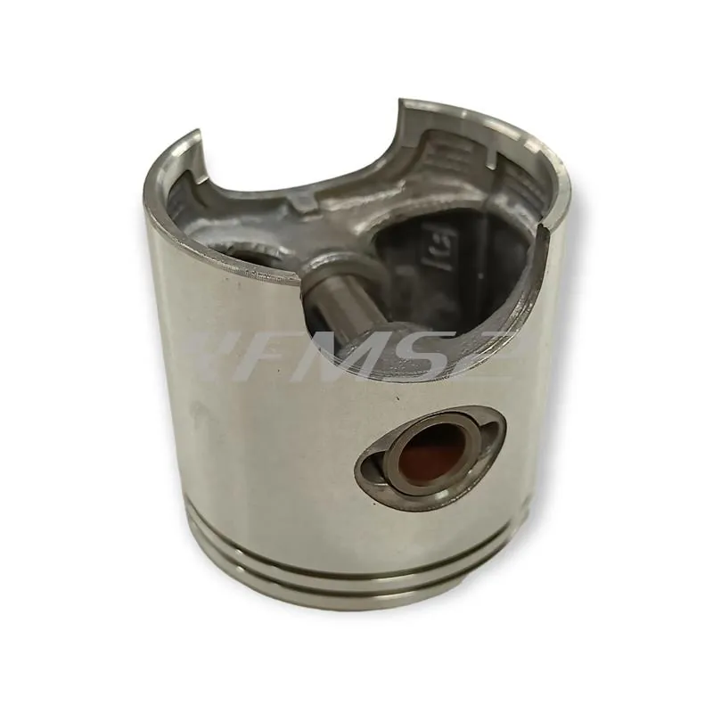 4876390002 Pistone-spinotto-anelli