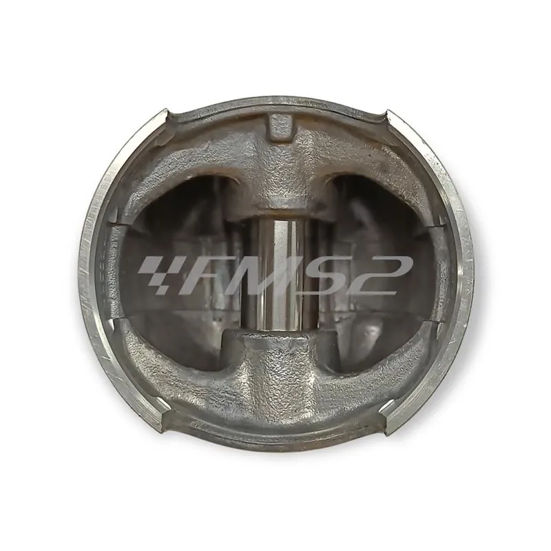 4876390002 Pistone-spinotto-anelli
