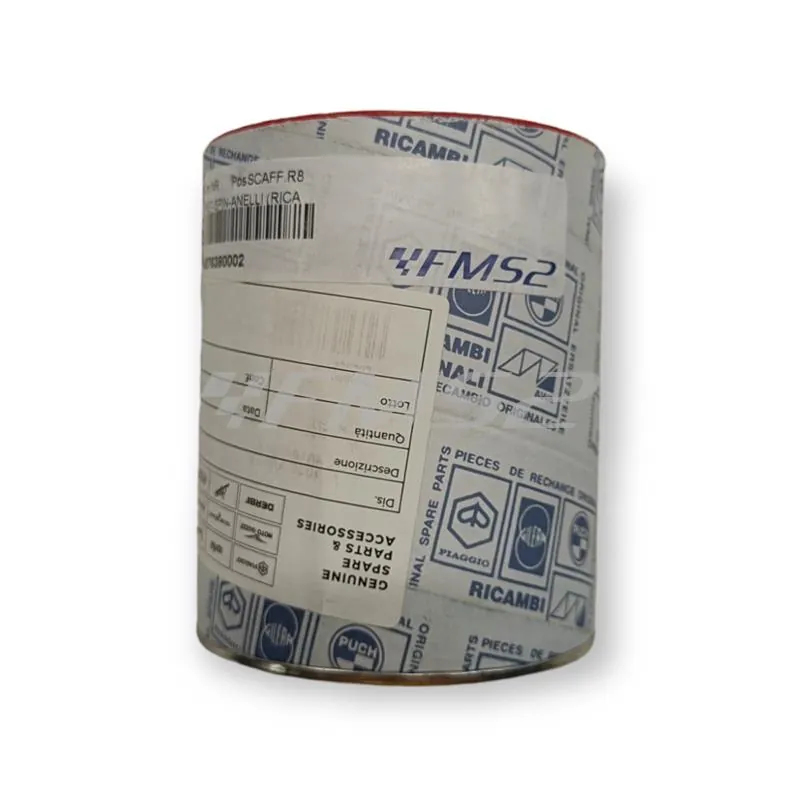4876390002 Pistone-spinotto-anelli