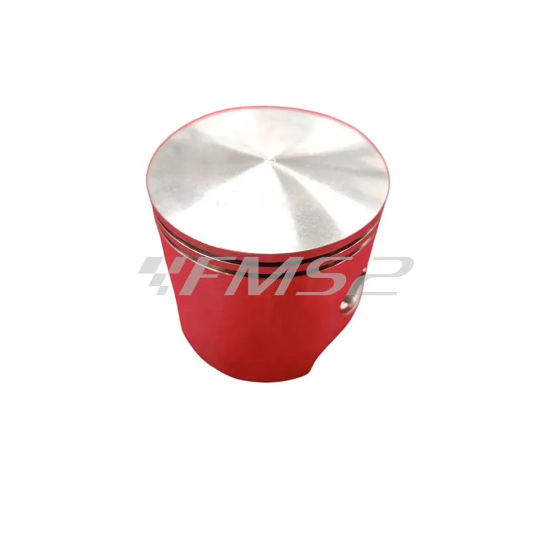 4876390003 Pistone-spinotto-anelli