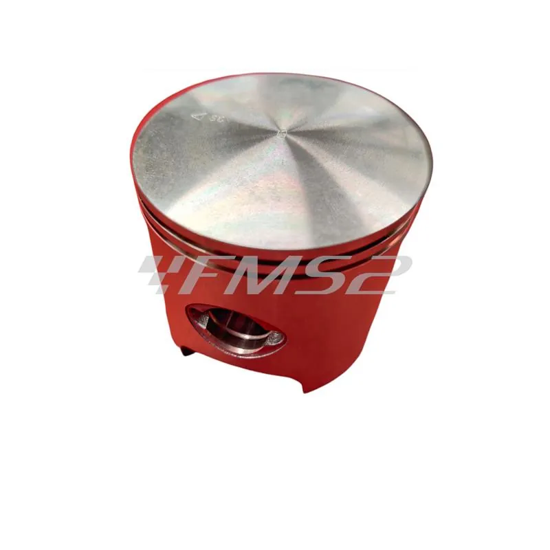 4876390003 Pistone-spinotto-anelli
