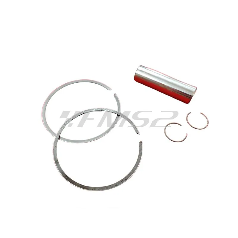 4876390003 Pistone-spinotto-anelli