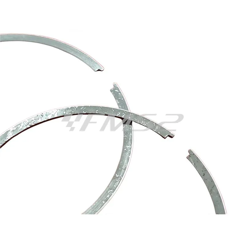 4876390003 Pistone-spinotto-anelli