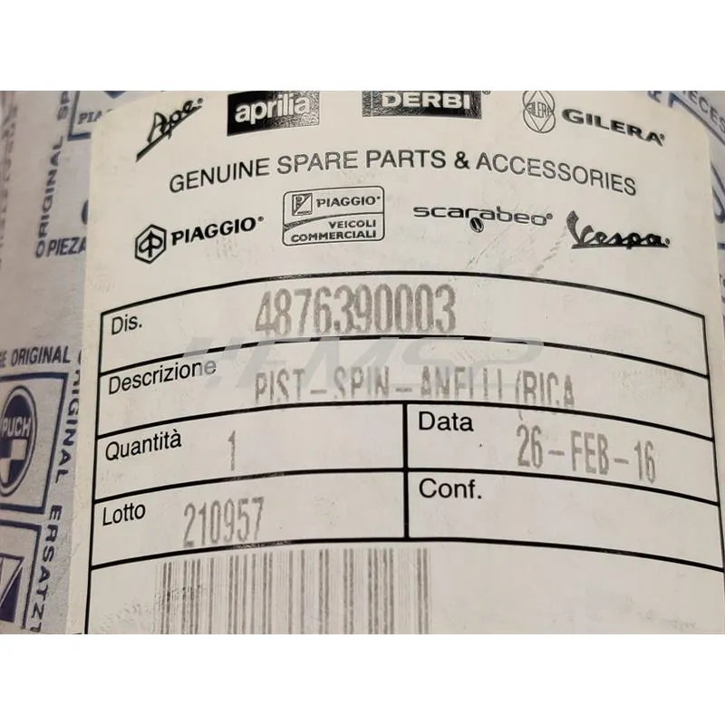 4876390003 Pistone-spinotto-anelli