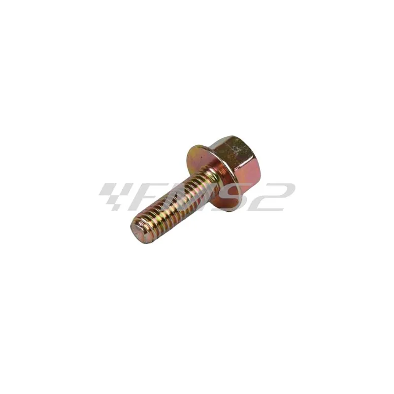 AP8150025 Vite scarico MINARELLI M6