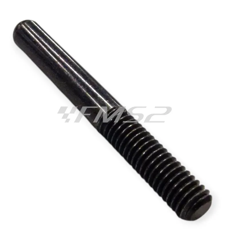 AP8221074 Asta pompa freno posteriore specifico per Aprilia RS 125 1992-2005, Tuono 125 2003-2004, Pegaso 650 1992-1996, RX 50 1991-1994 e Tuareg Rally 50 1990-1992