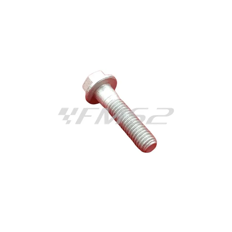 B016774 Vite esagonale flangiata M6 x 25 classe 10.9 (Piaggio Gilera)