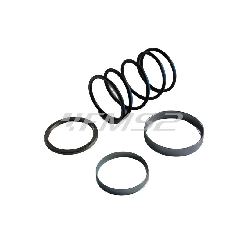 Spring slider Minarelli (Pinasco), ricambio 10412024