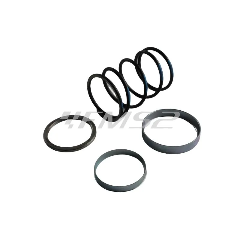Spring slider Minarelli (Pinasco), ricambio 10412024