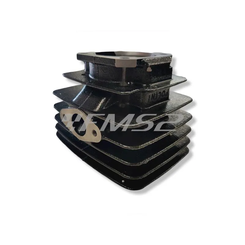 133.0072 Motore gruppo termico Polini per ciclomotori con motore Minarelli v1-issimo diametro 47