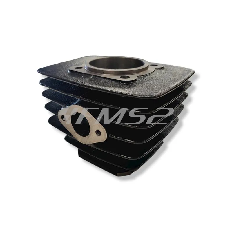 133.0072 Motore gruppo termico Polini per ciclomotori con motore Minarelli v1-issimo diametro 47