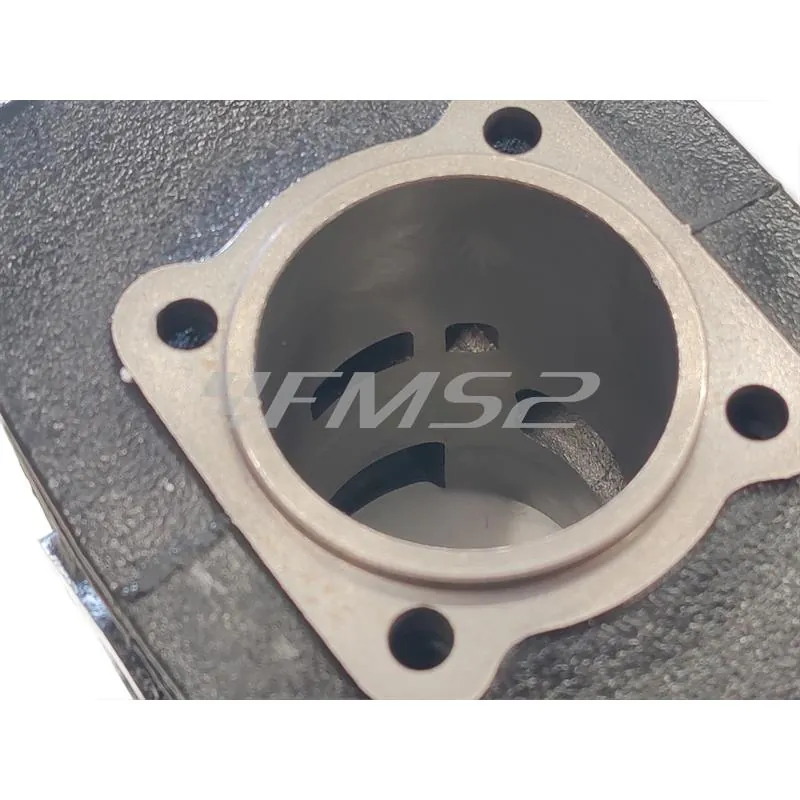 133.0072 Motore gruppo termico Polini per ciclomotori con motore Minarelli v1-issimo diametro 47