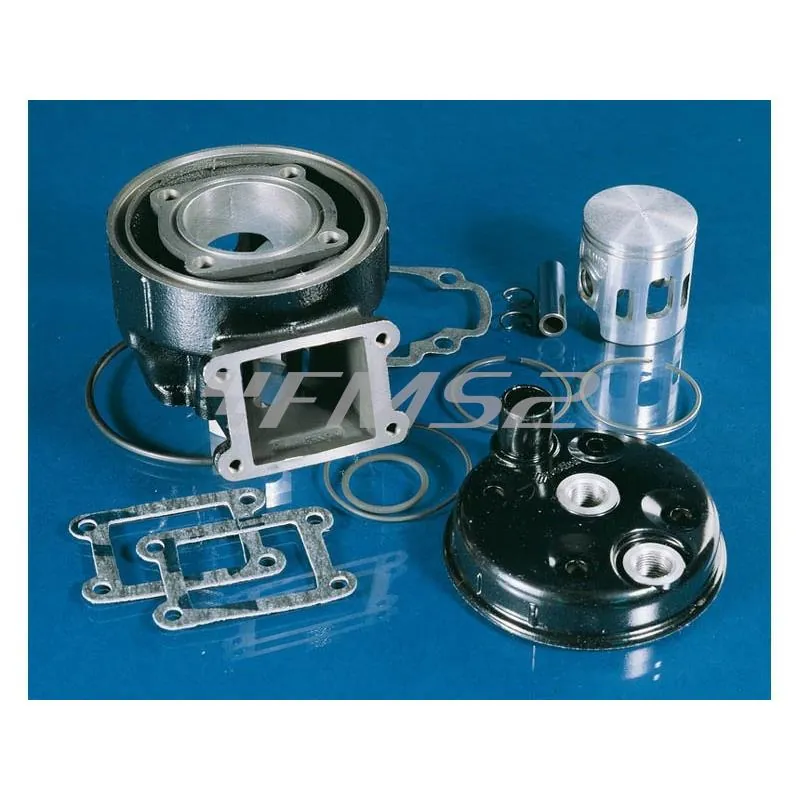 Motore gruppo termico kit Minarelli dl3 acqua diametro 47 Benelli-Malaguti (Polini), ricambio 1331003