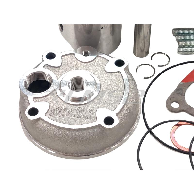 Motore gruppo termico Polini Big Evolution diametro 52 mm e corsa 44 mm con cilindrata 93,4 cc per motori Minarelli AM6 e da montare assieme all'albero motore 2100069, ricambio 1331012