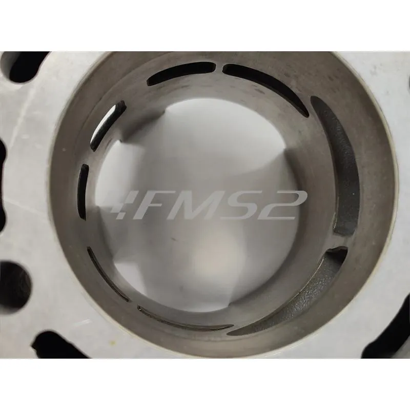 133.1012 Motore gruppo termico Polini Big Evolution diametro 52 mm e corsa 44 mm con cilindrata 93,4 cc per motori Minarelli AM6 e da montare assieme all'albero motore 2100069
