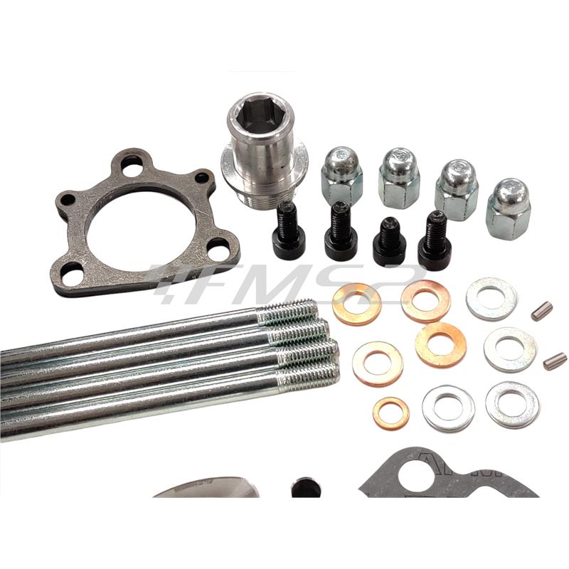 Motore gruppo termico Polini Big Evolution diametro 52 mm e corsa 44 mm con cilindrata 93,4 cc per motori Minarelli AM6 e da montare assieme all'albero motore 2100069, ricambio 1331012