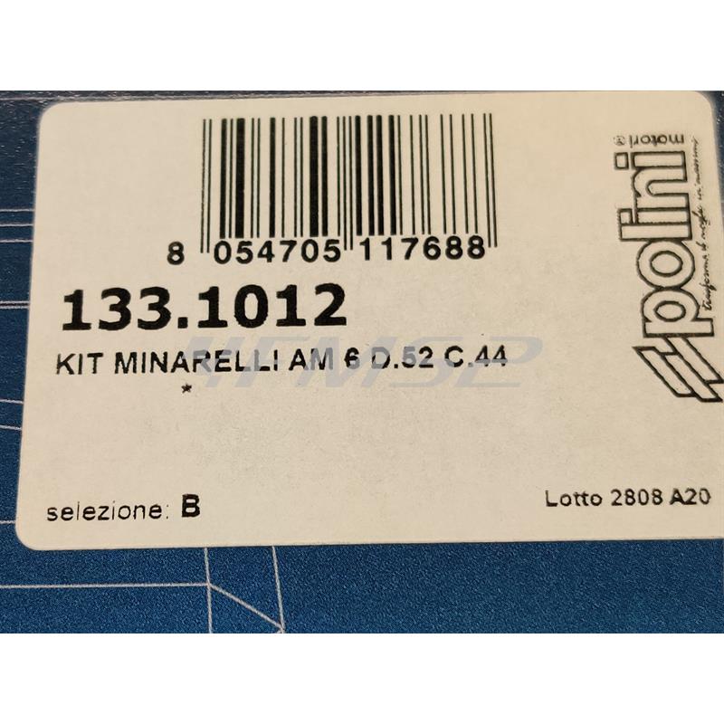 Motore gruppo termico Polini Big Evolution diametro 52 mm e corsa 44 mm con cilindrata 93,4 cc per motori Minarelli AM6 e da montare assieme all'albero motore 2100069, ricambio 1331012