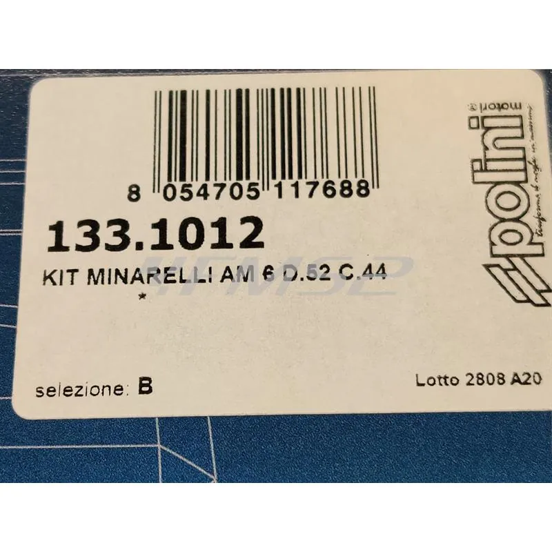 133.1012 Motore gruppo termico Polini Big Evolution diametro 52 mm e corsa 44 mm con cilindrata 93,4 cc per motori Minarelli AM6 e da montare assieme all'albero motore 2100069