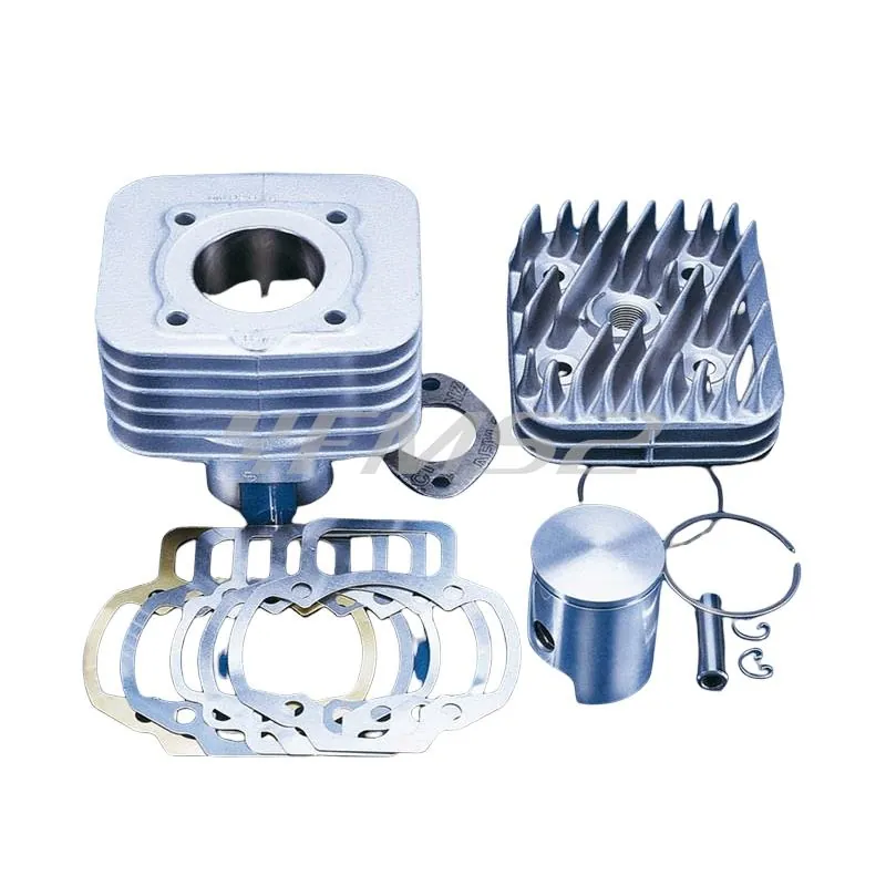 Motore gruppo termico Polini per Piaggio Gilera aria evo2, ricambio 1400195