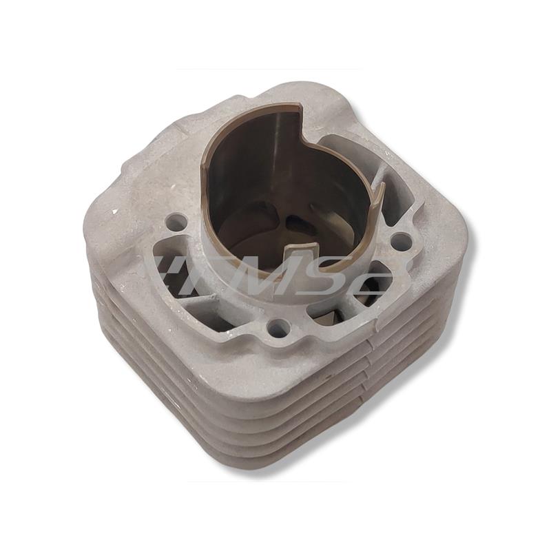 Gruppo termico motore Polini Evolution per scooter Piaggio raffreddati ad aria con diametro 47,6 mm mono fascia e  scarico con fori booster, ricambio 1400214