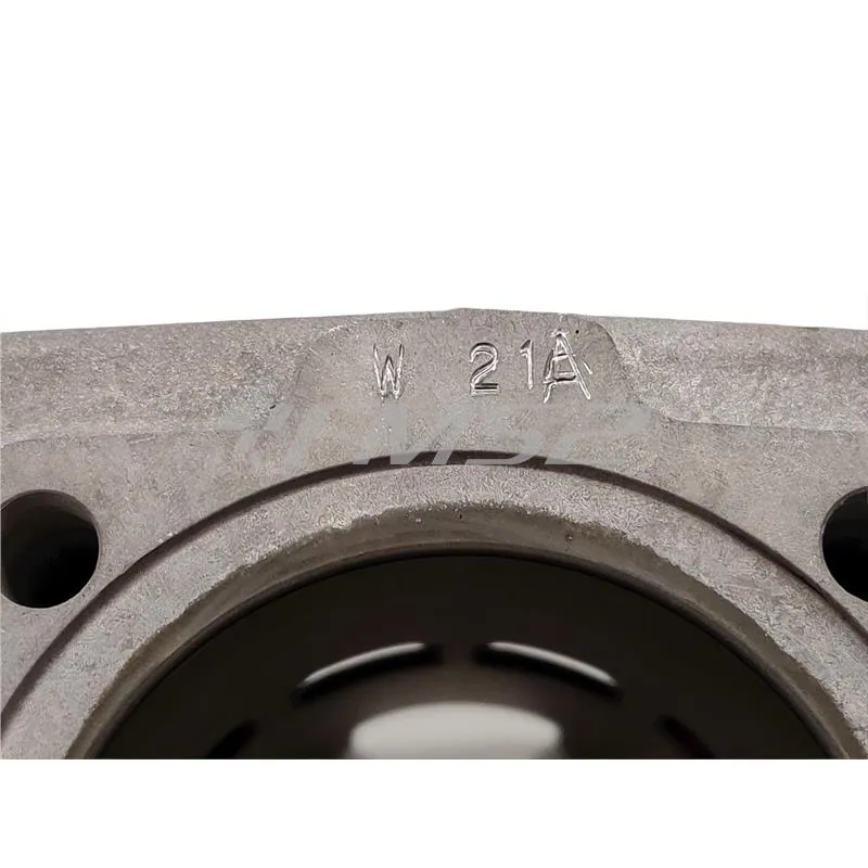 140.0214 Gruppo termico motore Polini Evolution per scooter Piaggio raffreddati ad aria con diametro 47,6 mm mono fascia e  scarico con fori booster