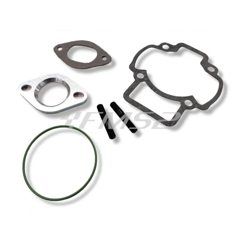 140.0214 Gruppo termico motore Polini Evolution per scooter Piaggio raffreddati ad aria con diametro 47,6 mm mono fascia e  scarico con fori booster
