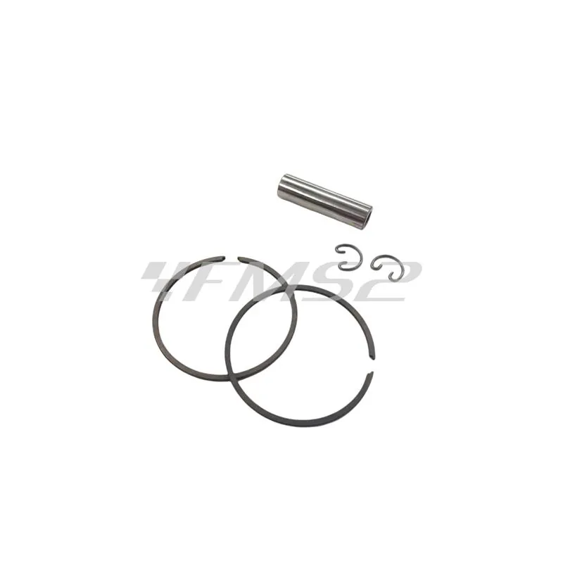 Motore gruppo termico kit pgo star 50 diametro 46 (Polini), ricambio 1410900