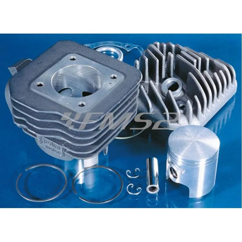 Motore gruppo termico Peugeot base diametro 47 (Polini), ricambio 1420147