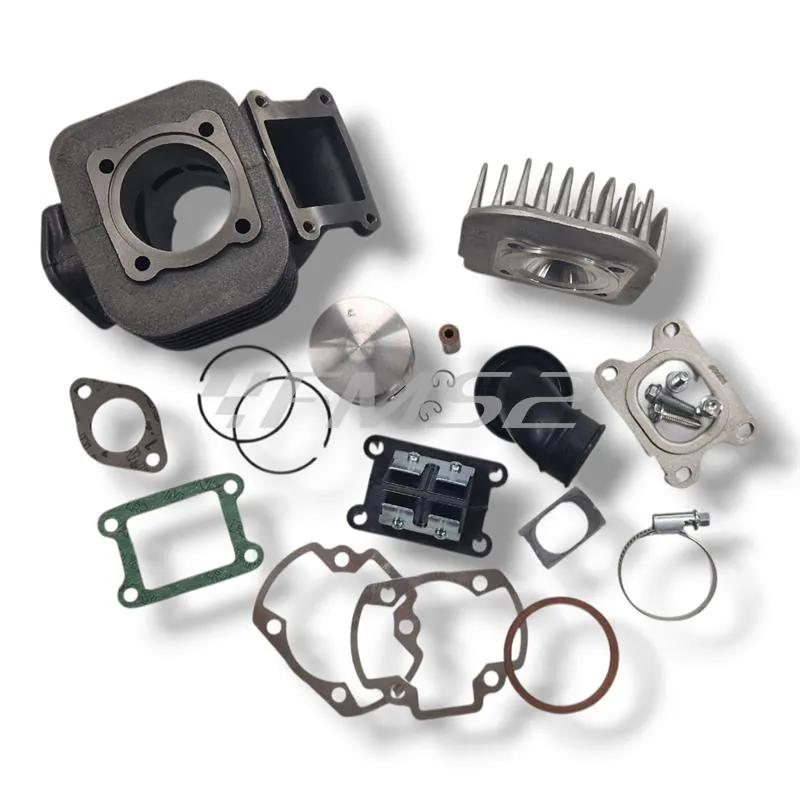 166.0074/E Motore gruppo termico Polini Evolution ghisa 70 cc diametro 47 mm corsa 39,2 bi-fascia spinotto 10 mm per motori Minarelli verticale Mbk Booster Spirit tutte le versioni