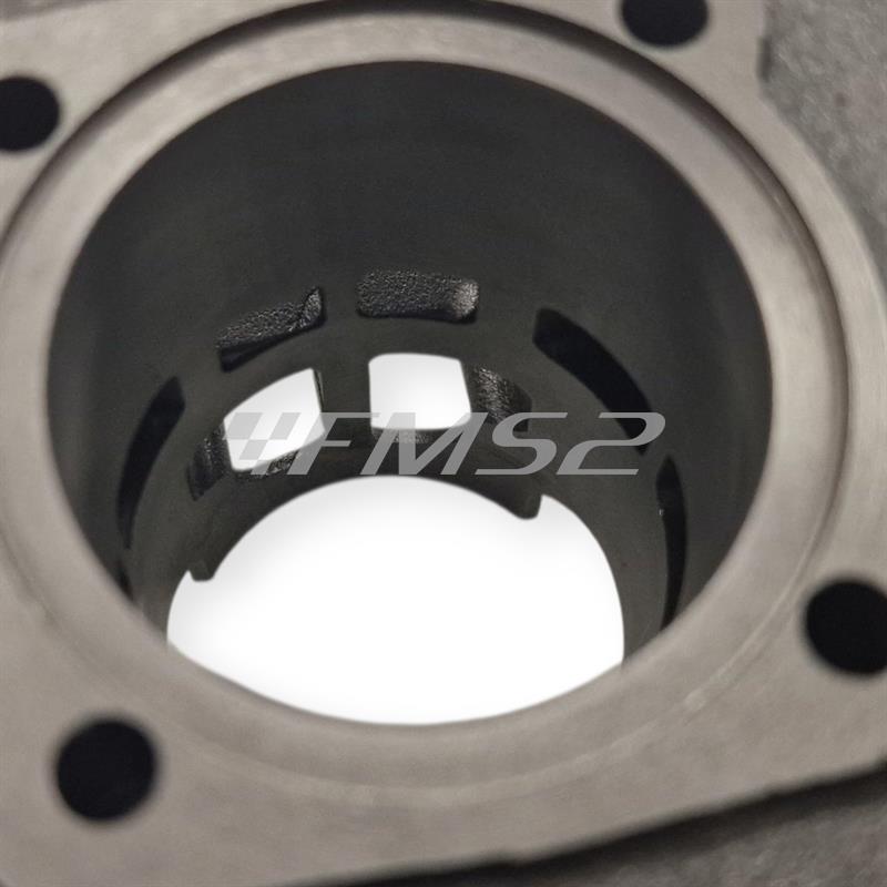 Motore gruppo termico Polini Evolution ghisa 70 cc diametro 47 mm corsa 39,2 bi-fascia spinotto 10 mm per motori Minarelli verticale Mbk Booster Spirit tutte le versioni, ricambio 1660074E