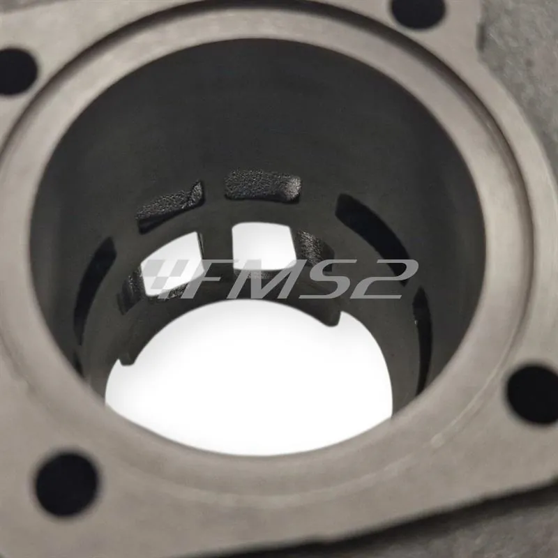 166.0074/E Motore gruppo termico Polini Evolution ghisa 70 cc diametro 47 mm corsa 39,2 bi-fascia spinotto 10 mm per motori Minarelli verticale Mbk Booster Spirit tutte le versioni
