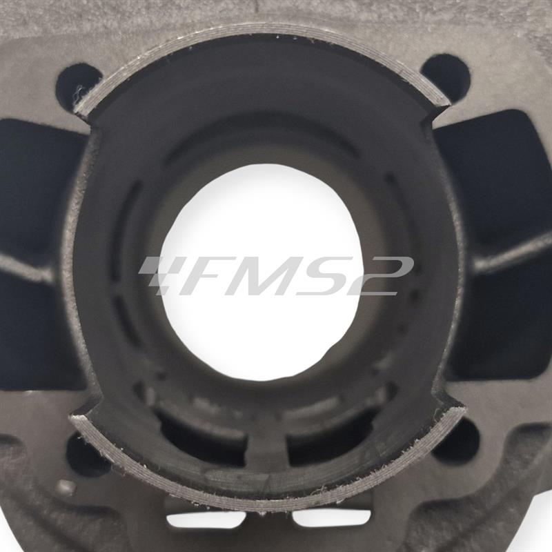 Motore gruppo termico Polini Evolution ghisa 70 cc diametro 47 mm corsa 39,2 bi-fascia spinotto 10 mm per motori Minarelli verticale Mbk Booster Spirit tutte le versioni, ricambio 1660074E
