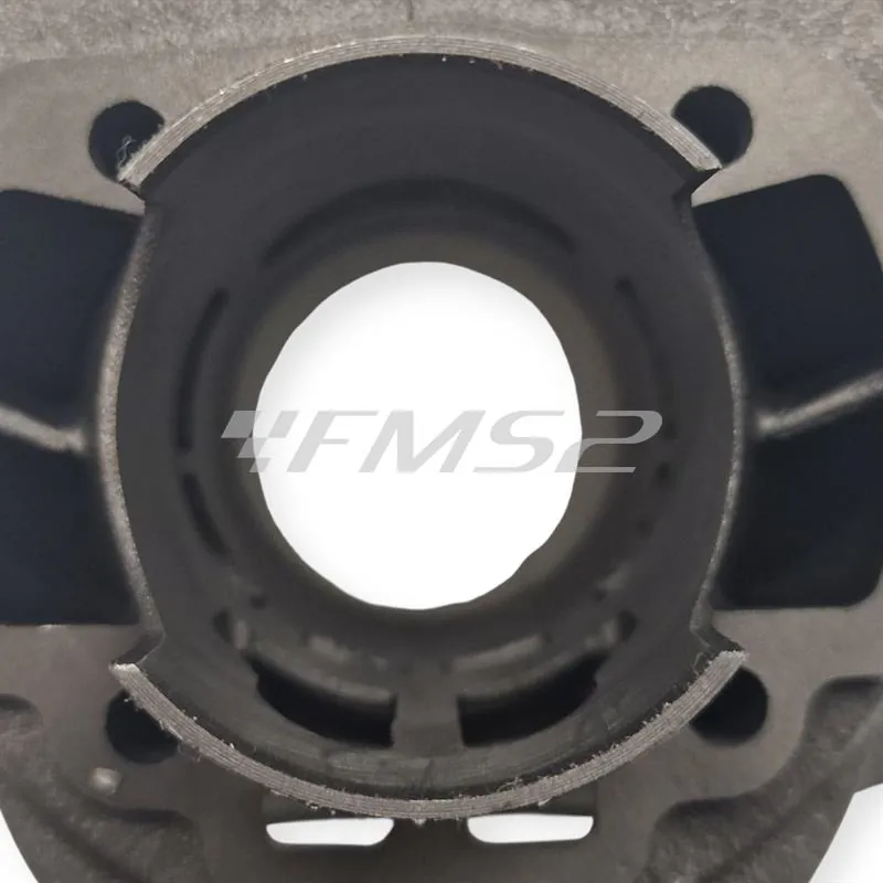 166.0074/E Motore gruppo termico Polini Evolution ghisa 70 cc diametro 47 mm corsa 39,2 bi-fascia spinotto 10 mm per motori Minarelli verticale Mbk Booster Spirit tutte le versioni