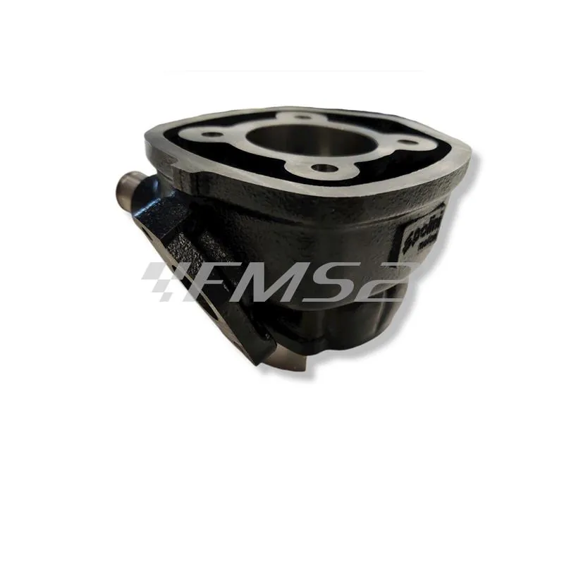 166.0083 Motore gruppo termico Polini base x Minarelli orizzontale diametro 47 mm (cilindrata 70 cc) a liquido