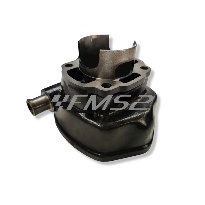 166.0083 Motore gruppo termico Polini base x Minarelli orizzontale diametro 47 mm (cilindrata 70 cc) a liquido