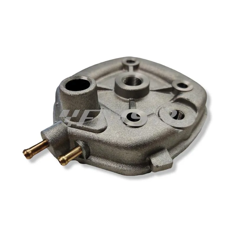 166.0083 Motore gruppo termico Polini base x Minarelli orizzontale diametro 47 mm (cilindrata 70 cc) a liquido