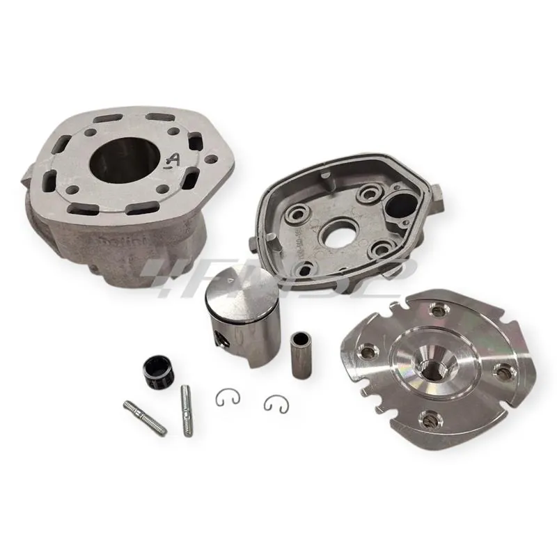 166.0097 Motore gruppo termico Evolution 2 mimarelli orizzontale  lc  sp.12 (Polini)