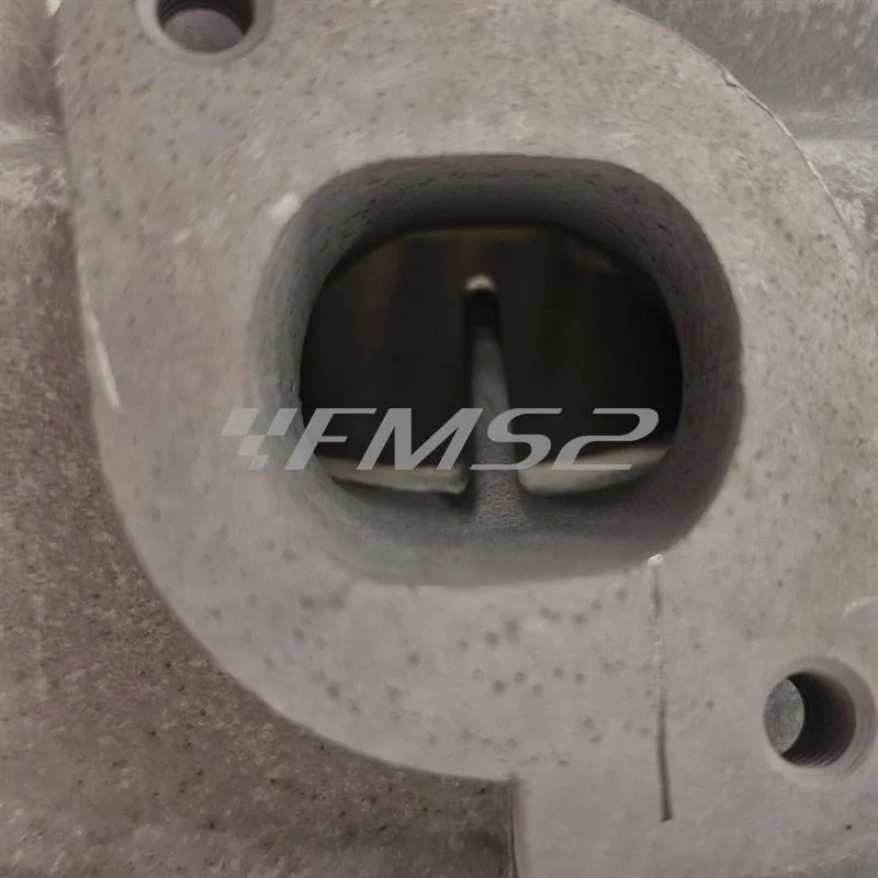 166.0097 Motore gruppo termico Evolution 2 mimarelli orizzontale  lc  sp.12 (Polini)