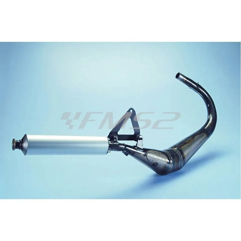 Marmitta Polini Evolution per hm cre50 dal 2001 al 2002, ricambio 2000224