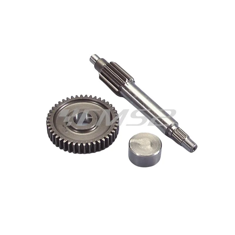 Rapporti primari (Polini), ricambio 2021370