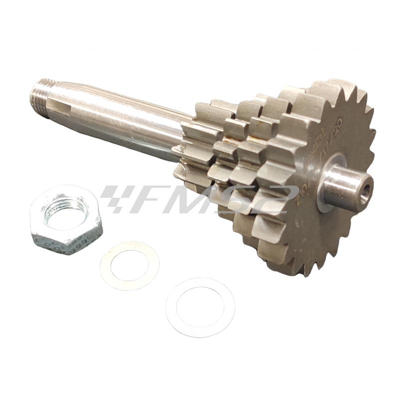 Ingranaggio quadruplo primario Polini con rapportatura Z10-14-17-20, denti dritti per motori Piaggio Vespa 50 Special e 125 Primavera ET3 e PK 50 e PK 125 cc, ricambio 2021417