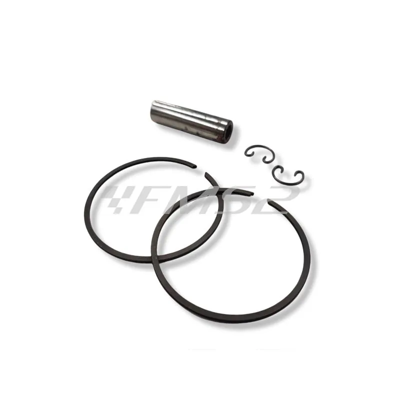 Pistone Polini per scooter yamaha-mbk-honda d.47, ricambio 2040620