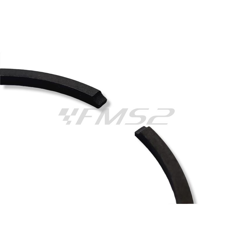 Segmento d.41,8x1,5, ricambio 2060048