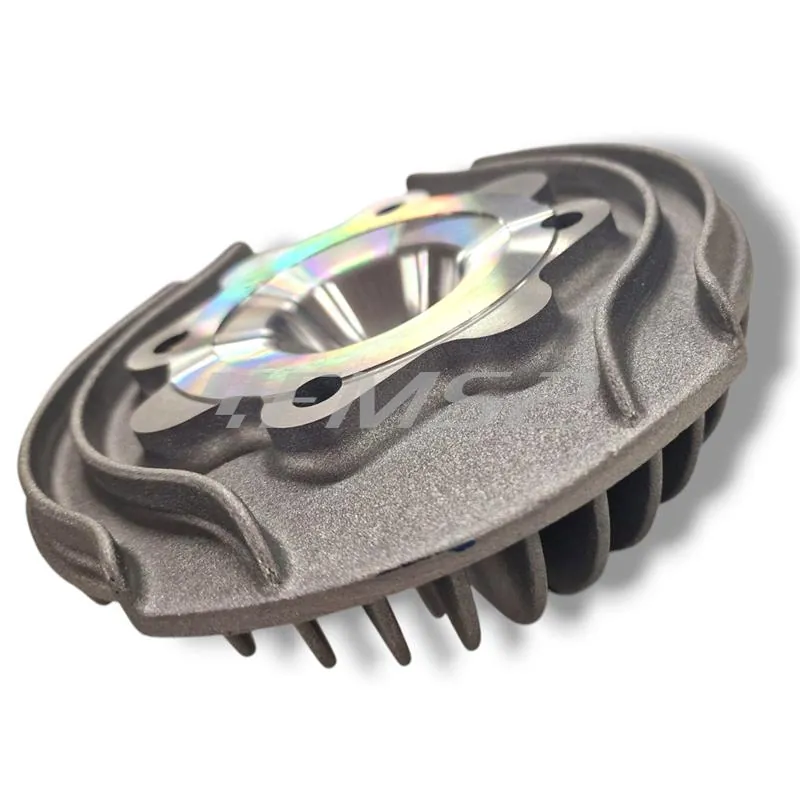 Testa Polini per Vespa Primavera-ET3-PK-ets-xl, ricambio 2110005