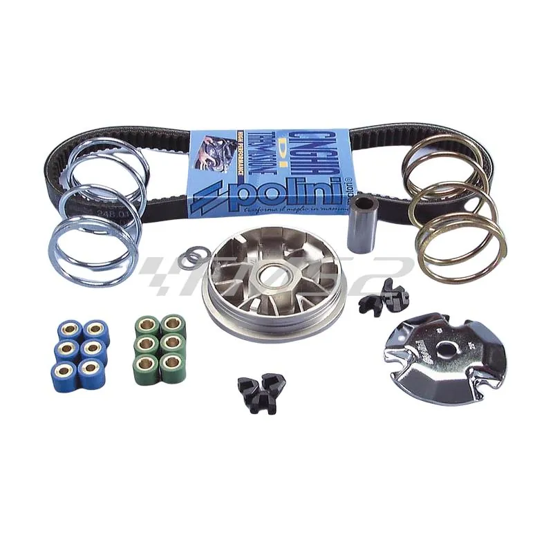 Variatore speed control (Polini), ricambio 2415102