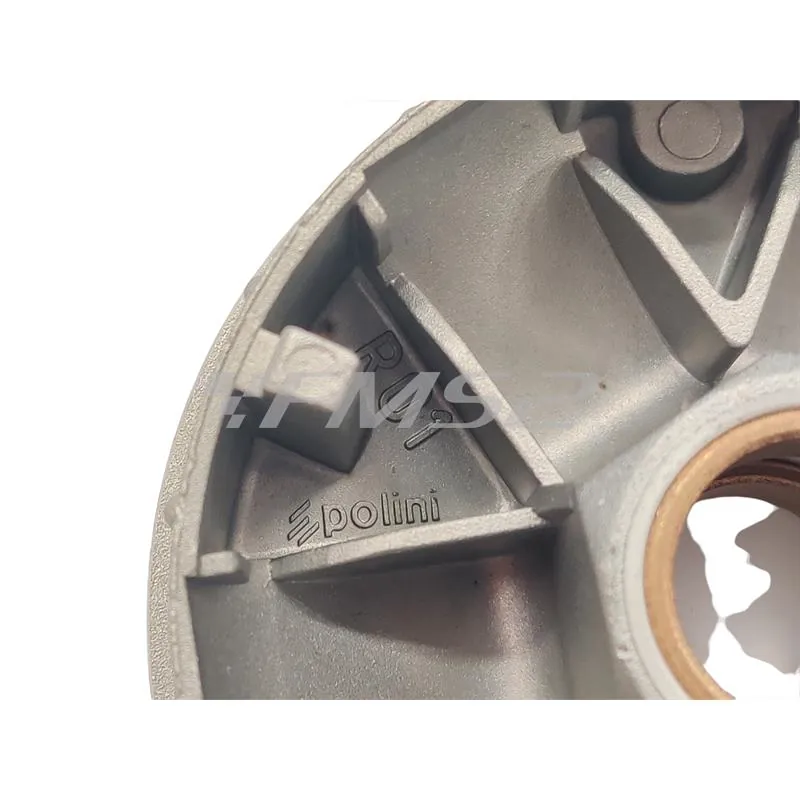 241.561.2 Variatore speed control (Polini)