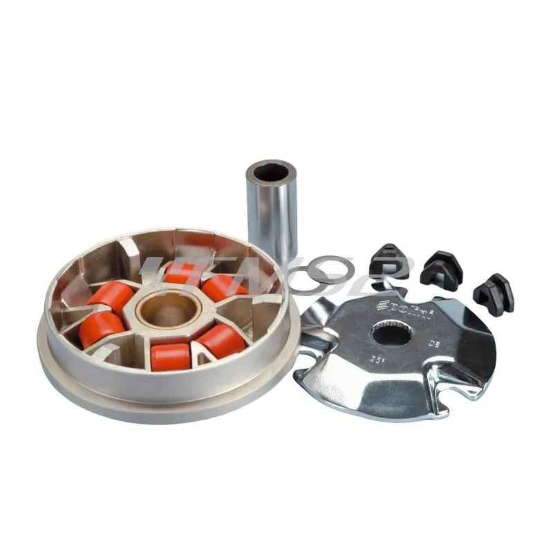 Variatore speed control (Polini), ricambio 241622